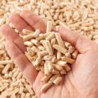 wood pellets germany export