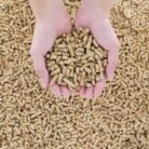 enplus a1 wood pellets supplier europe