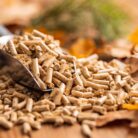 Holzpellets